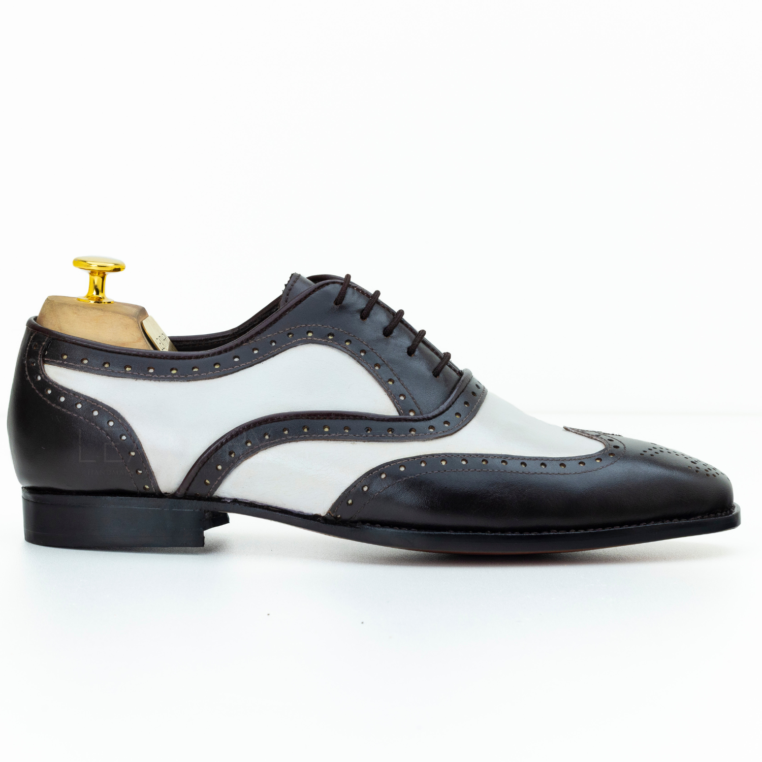 Black and white dress shoe on a white background