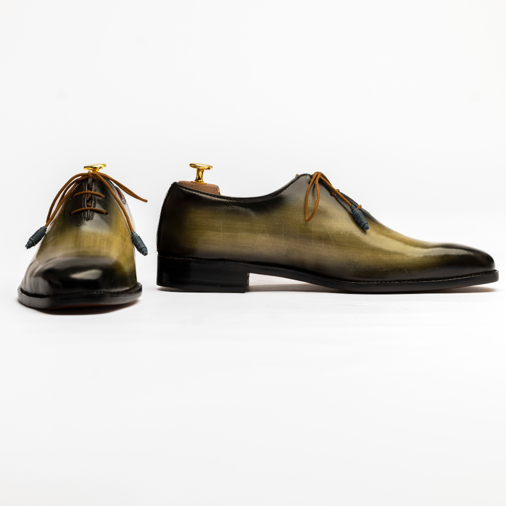 Pair of polished leather shoes on a white background
